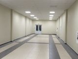 Офисное освещение с дежурным светом
