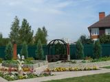 Декоративные огороды