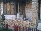 Дикий камень