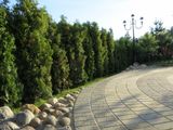 Благоустройство частного участка