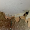 Отделка потолка и стен в квартире