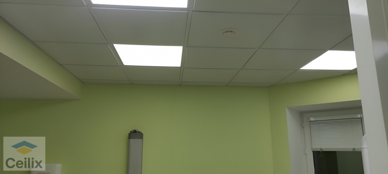 Примеры работ